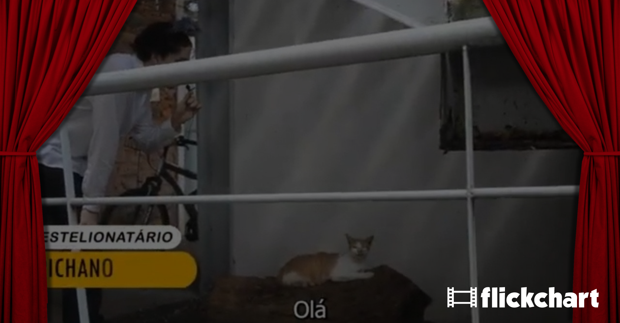 Revolução dos Gatos - Community Discussion - Flickchart
